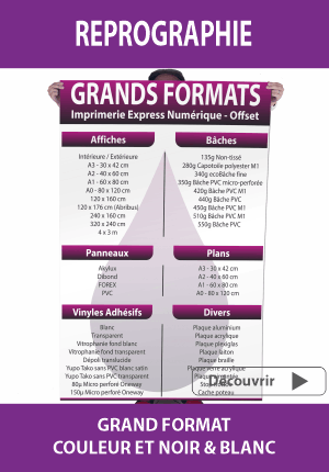 cat_grand-format.png